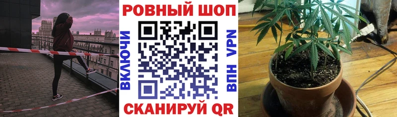 Как найти закладки Микунь МАРИХУАНА  МЕФ  Кокаин  Метадон  Гашиш  A PVP 