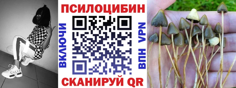 Псилоцибиновые грибы мицелий  где найти   Микунь 